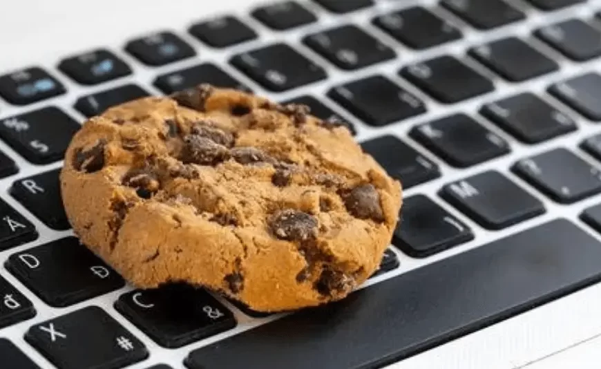 Les Cookies et la Vie Privée en Ligne : Décryptage…